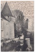 17 - LES DOUVES DU CHÂTEAU DE DAMPIERRE - Réf. N°4375 - - Dampierre-sur-Boutonne