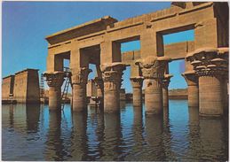 AFRIQUE,AFRICA,AFRIKA,égypte,EGYPT,ASSOUAN,ASWAN,SYENE,PISCINE,ASSWAN,TEMPLE PHILAE - Assuan