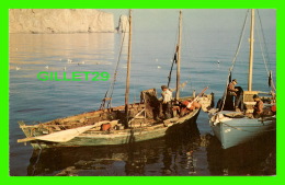 PERCÉ, QUÉBEC - BARQUES DE PÊCHE À PERCÉ - AL CASSIDY - ANIMÉE DE PÊCHEURS - - Percé