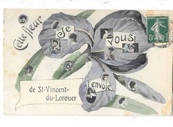 SAINT VINCENT DU LOROUER (72) Carte Fantaisie Cette Fleur Je Vous L'envoie - Sonstige & Ohne Zuordnung