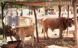 GAMBIA. GAM-12. Ndama Cattle. 125U. (002) - Gambie