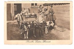 Brussel / Bruxelles - Laitière Flamande - Hondenkar / Attelage De Chien / Dog Cart / Hundewagen - Straßenhandel Und Kleingewerbe