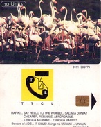 TANZANIA. FAUNA. AVES. FLAMENCOS - FLAMINGOS. (436) - Tansania