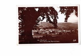 Delcampe - - Cpsm - 74 - RUMILLY - Vue à Travers Les Marronniers - Arbre Marronnier - Cap 48 - - Rumilly