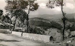 LANGEAC PAYSAGE SUR LA ROUTE DE LANGEAC A PINOIS - Langeac