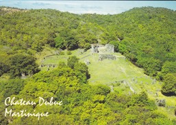 MARTINIQUE---RARE---le Château DUBUC---voir 2 Scans - La Trinite