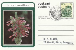 First Day 3c SOUTH AFRICA Postal STATIONERY CARD Illus ERICA CURVIFLORA FLOWER Cover Stamps Flowers Rsa - Briefe U. Dokumente