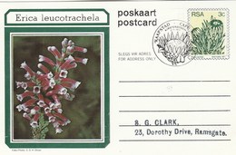 First Day 3c SOUTH AFRICA Postal STATIONERY CARD Illus ERICA LEUCOTRACHELA FLOWER Cover Stamps Flowers Rsa - Lettres & Documents