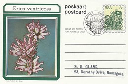 First Day 3c SOUTH AFRICA Postal STATIONERY CARD Illus ERICAVENTRICOSA FLOWER Cover Stamps Flowers Rsa - Lettres & Documents