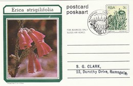 First Day 3c SOUTH AFRICA Postal STATIONERY CARD Illus ERICA STRIGILIFOLIA FLOWER Cover Stamps Flowers Rsa - Cartas & Documentos