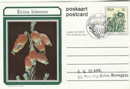 First Day 3c SOUTH AFRICA Postal STATIONERY CARD Illus ERICA BLENNA FLOWER Cover Stamps Flowers Rsa - Lettres & Documents