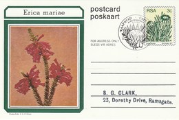 First Day 3c SOUTH AFRICA Postal STATIONERY CARD Illus ERICA MARIAE FLOWER Cover Stamps Flowers Rsa - Briefe U. Dokumente