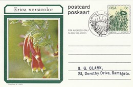 First Day 3c SOUTH AFRICA Postal STATIONERY CARD Illus ERICA VERSICOLOR FLOWER Cover Stamps Flowers Rsa - Briefe U. Dokumente