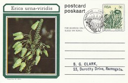 First Day 3c SOUTH AFRICA Postal STATIONERY CARD Illus ERICA URNA VIRIDIS FLOWER Cover Stamps Flowers Rsa - Storia Postale