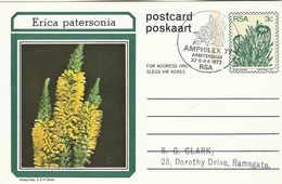 AMPHILEX Amsterdam First Day SOUTH AFRICA Postal STATIONERY CARD Illus ERICA PATERSONIA FLOWER Cover Stamps Flowers Rsa - Storia Postale