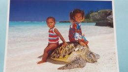 CPM TORTUE ENFANTS GITE DE MANAMAKY ILES DES PINS NOUVELLE CALEDONIE - Tartarughe