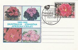 First Day SOUTH AFRICA Postal STATIONERY CARD Illus AFRICAN VIOLET  FLOWER Cover Stamp Flowers Roses Rsa - Brieven En Documenten