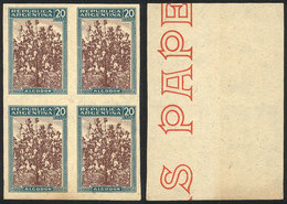 ARGENTINA GJ.765, 20P. Cotton, Trial Color Proof, Block Of 4 Printed In The Adop - Altri & Non Classificati