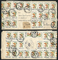 ARGENTINA GJ.2104, $a0.50 Guaranguay Flower, 43 Examples (total $a21.50) Frankin - Autres & Non Classés