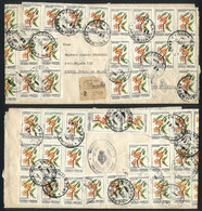 ARGENTINA GJ.2104, $a0.50 Guaranguay Flower, 43 Examples (total $a21.50) Frankin - Other & Unclassified