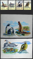 ARGENTINA GJ.2678/81, 1994 Fauna Of The Falkland Islands/Malvinas, ORIGINAL ARTI - Otros & Sin Clasificación