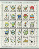 ARGENTINA GJ.22, Provincial Coats Of Arms, With VARIETY: Shifted Vertical Perfor - Blocks & Kleinbögen