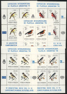 ARGENTINA GJ.HB 28/32, 1978 Birds, Football World Cup, Cmpl. Set Of 5 Souvenir S - Blocks & Sheetlets