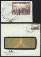 ARGENTINA "Cover Posted On 18/JA/1958, Franked With Stamp Of 40c. Sugar Cane, Wi - Other & Unclassified