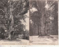 Fontainebleau - Le Pharamond Et Le Sully (2 Cartes) - Fontainebleau