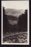 Delcampe - Lautertal Reichenbach - S/w Besucht Das Felsenmeer Bei Reichenbach Im Odenwald 2 - Odenwald