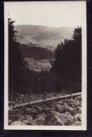 Lautertal Reichenbach - S/w Besucht Das Felsenmeer Bei Reichenbach Im Odenwald 2 - Odenwald