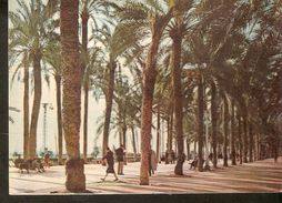 Delcampe - K2. Spain Espana ALICANTE Explanada Explanade Posted Postcard - Alicante