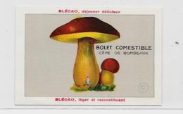 Chromo Champignon Mushroom 9,5 X 6,5 Texte Explicatif Au Dos Publicité Blécao - Other & Unclassified