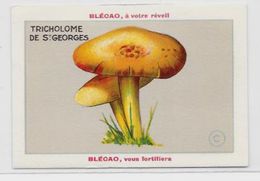 Chromo Champignon Mushroom 9,5 X 6,5 Texte Explicatif Au Dos Publicité Blécao - Other & Unclassified