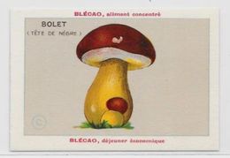 Chromo Champignon Mushroom 9,5 X 6,5 Texte Explicatif Au Dos Publicité Blécao - Other & Unclassified