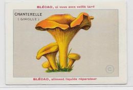 Chromo Champignon Mushroom 9,5 X 6,5 Texte Explicatif Au Dos Publicité Blécao - Other & Unclassified