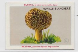 Chromo Champignon Mushroom 9,5 X 6,5 Texte Explicatif Au Dos Publicité Blécao - Other & Unclassified