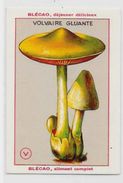 Chromo Champignon Mushroom 9,5 X 6,5 Texte Explicatif Au Dos Publicité Blécao - Other & Unclassified