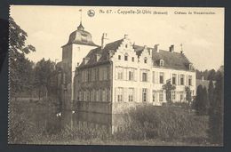 +++ CPA - CAPPELLE SAINT ULRIC - Château De NIEUWERMOLEN - Nels 67   // - Dilbeek