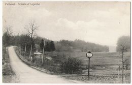 Paliseul - Scierie D'Aspèche - Ligne Et Arrêt Tram - Circulé 1911 - Edit. Bodson, Impr. Photogr. Numa Delvaux, Paliseul - Paliseul