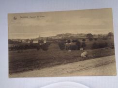 Réf: 99-4-182.  CARNIERES   Panorama Des Trieux. - Morlanwelz