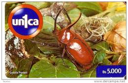 TARJETA DE VENEZUELA DE UN ESCARABAJO  (INSECTO-INSECT) - Andere & Zonder Classificatie