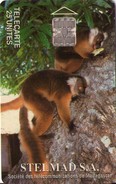 MADAGASCAR. MDG-01. Lemurs Of Madagascar (STELMAD S.A.). C4B. (013) - Madagascar