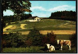 Waldmichelbach / Odw.  -  Sonnen-Cafe Kreidacher Höhe  -  Ansichtskarte Ca.1965    (7444) - Odenwald