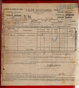 Talon Resguardo Caminos De Hiero Del Norte Expédition Hendaye Caparroso 19-05-1899 - Transport Laine - Spanien