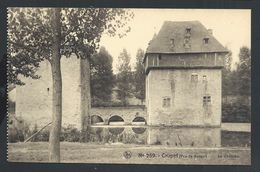 +++ CPA - CRUPET - Château - Nels N° 259   // - Assesse