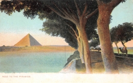 EGYPTE    ROAD TO RHE PYRAMIDS - Pyramides