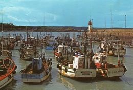 Erquy Le Port Bateaux De Pêche Le Phare - Erquy