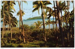 POLYNESIE FRANCAISE  Un Petit îlot A MAHAENA  Carte écrite En 1967 - Polynésie Française
