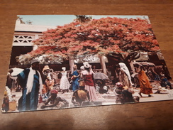 Postcard - Zambia    (V 32148) - Zambia